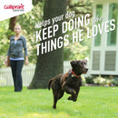 Galliprant Tablets for Dogs 30 Counts