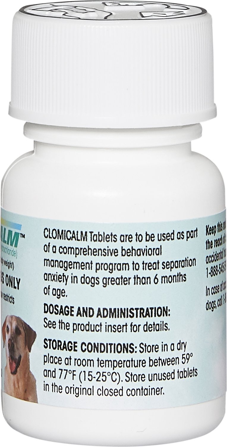Clomipramine Prescription Anti Anxiety Meds For Dogs Clomicalm