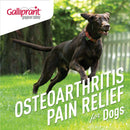 Galliprant Tablets for Dogs 30 Counts