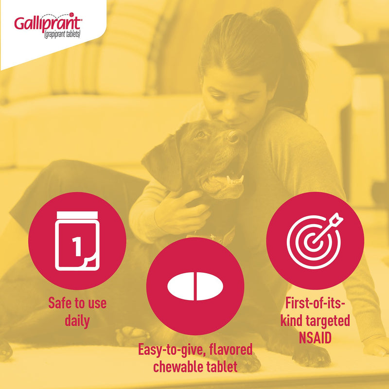 Galliprant Tablets for Dogs 30 Counts – PASADENA PET STORE
