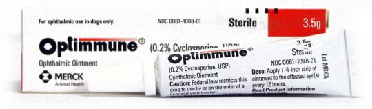 Optimmune (0.2% Cyclosporine) Ophthalmic Ointment